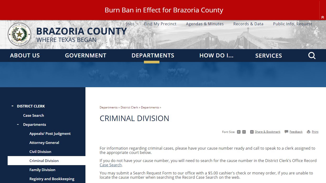 Criminal Division - Brazoria County, TX